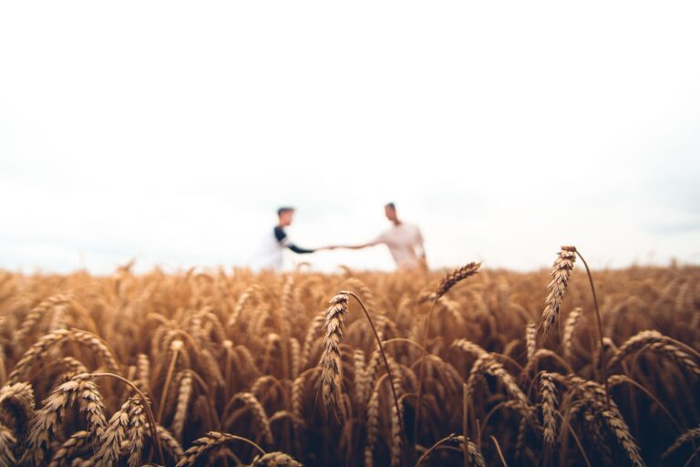 Into The Harvest